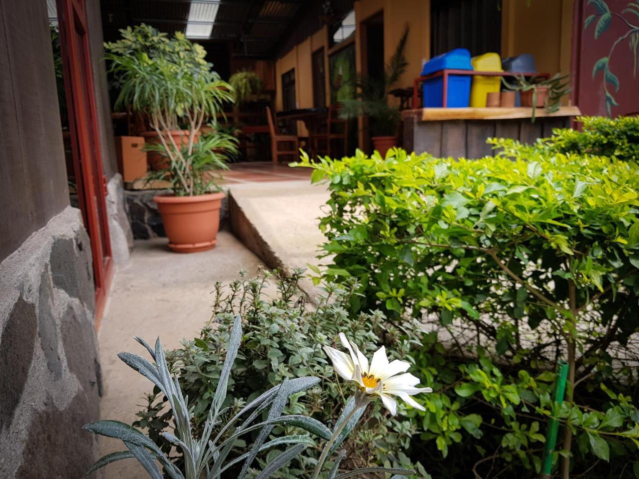 Greemount Hotel Monteverde Exterior photo