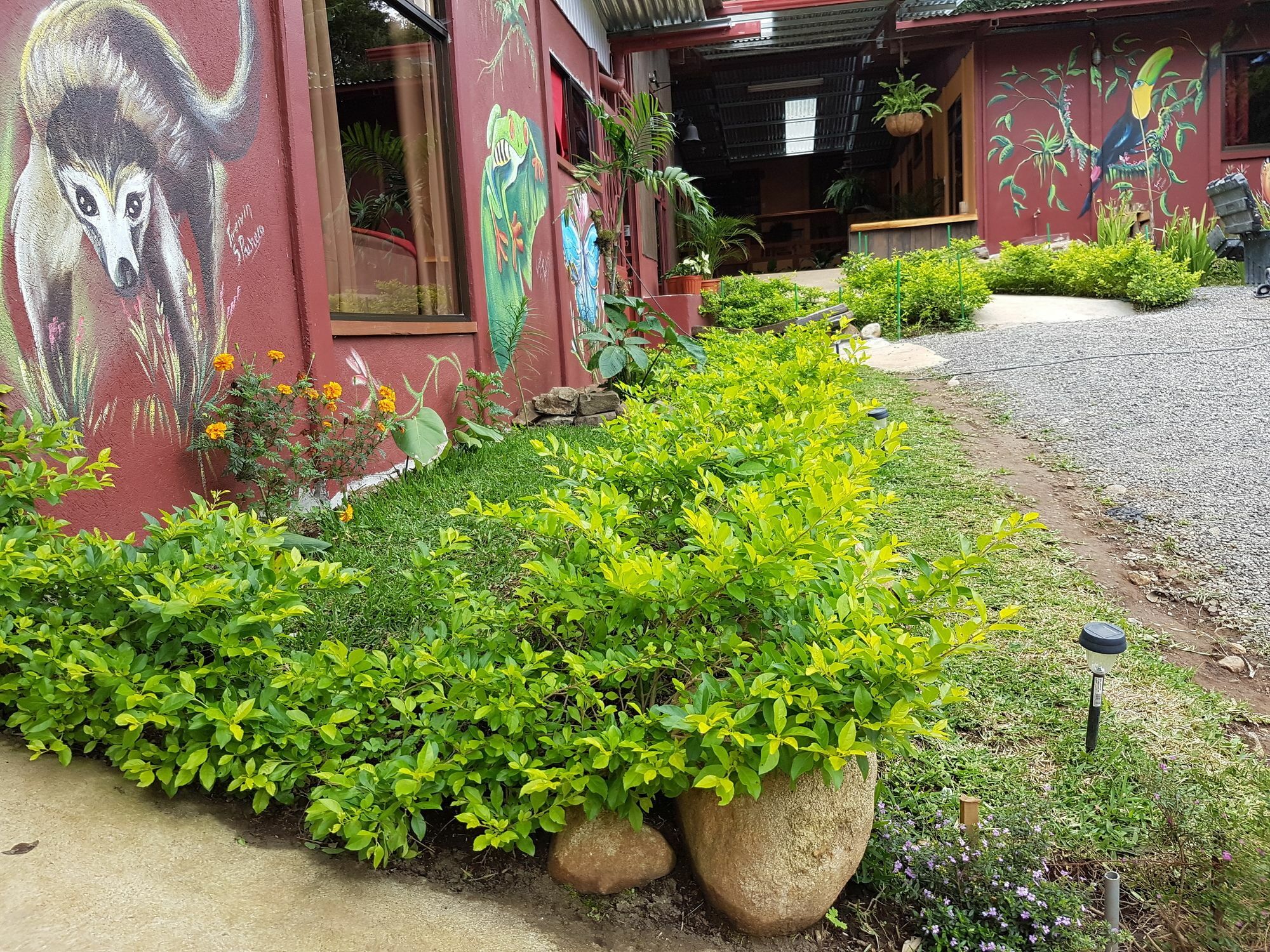 Greemount Hotel Monteverde Exterior photo